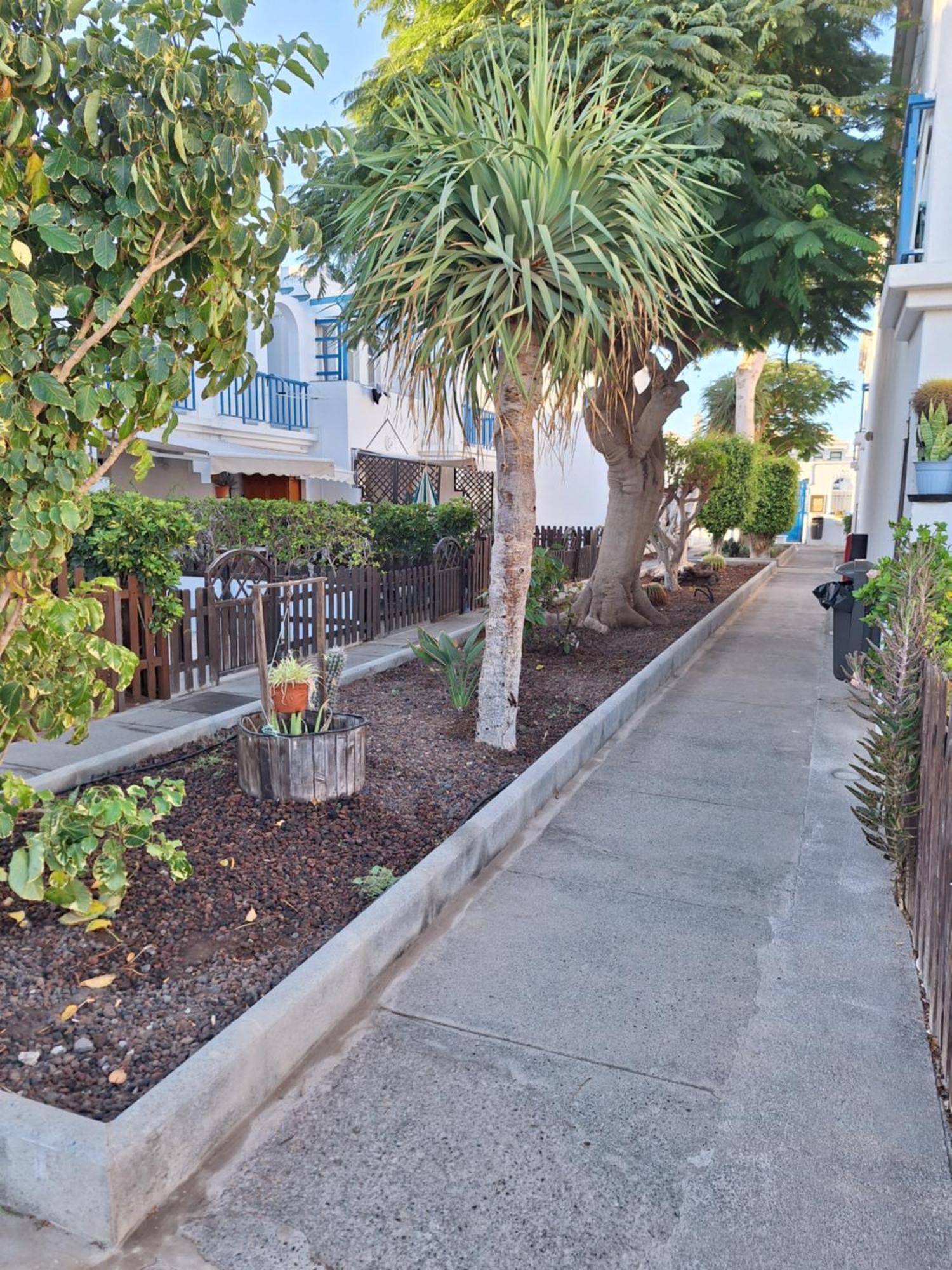Poolfront Bungalow 普拉亚戴尔雷安格莱斯 外观 照片